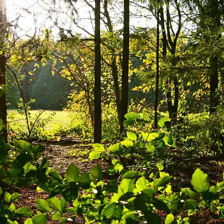 Het Mergelhoek 1 - Parterre Apartment Vaals