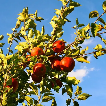 Het Mergelhoek 1 - Parterre