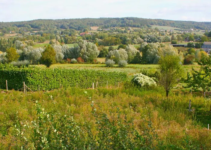 Het Mergelhoek 1 - Parterre * Vaals