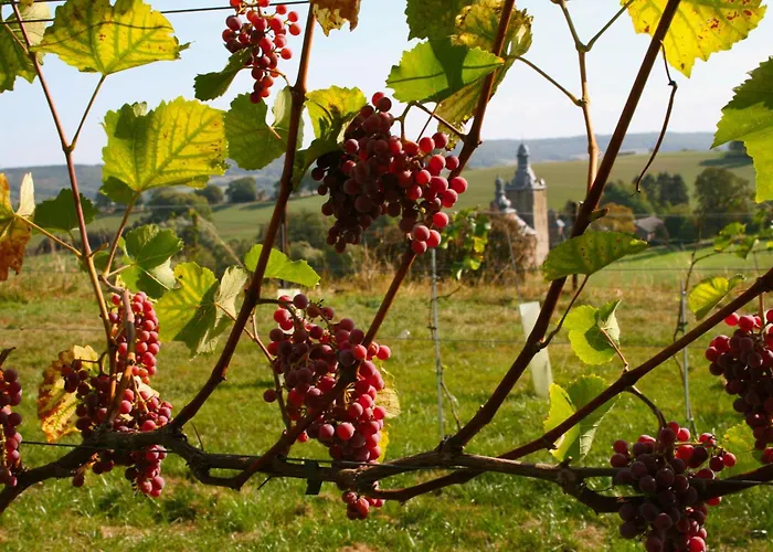 Het Mergelhoek 1 - Parterre *