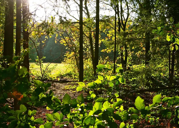 Het Mergelhoek 1 - Parterre Daire Vaals