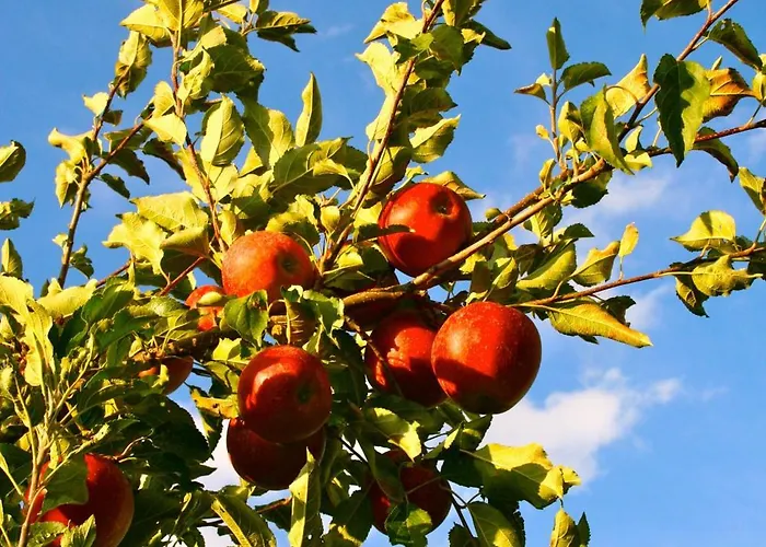 Het Mergelhoek 1 - Parterre